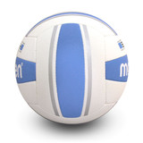 Elite Beach Volleyball- Silver/Blue 